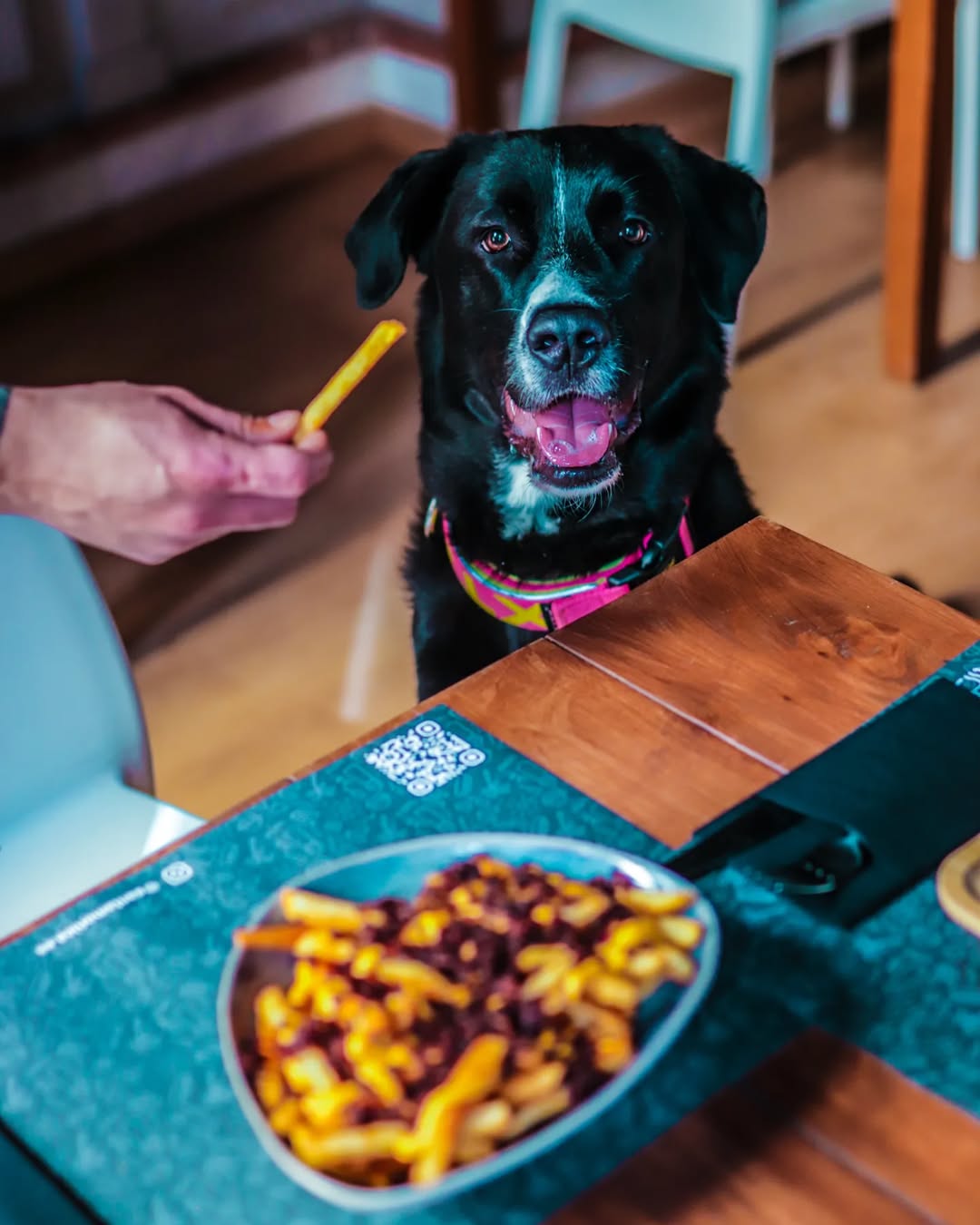 Historia de Santa Mónica